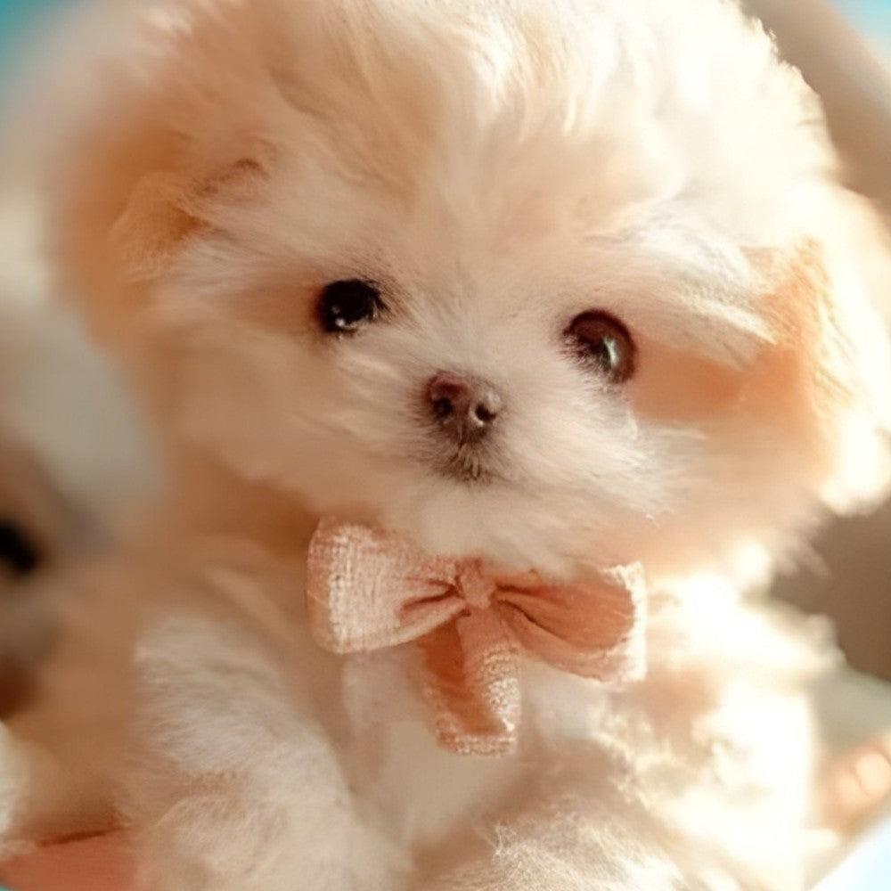 Peluche chiot interactive | Lavu Home