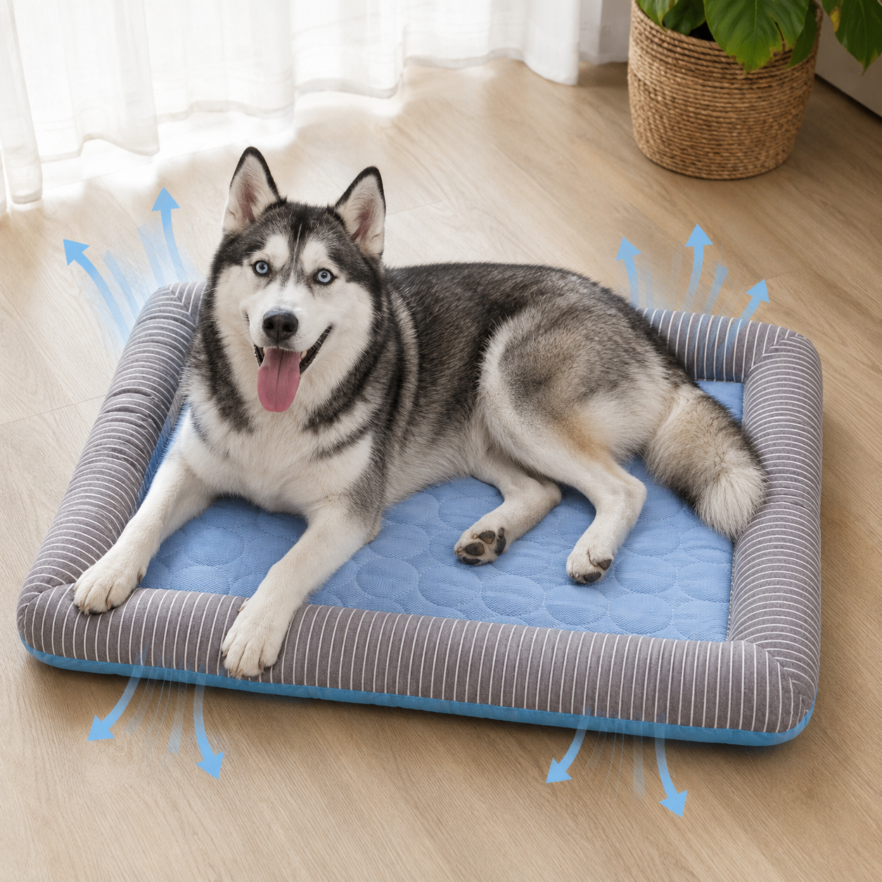 Tapis rafraîchissant matelassé pour animaux avec centre bleu et bordure à rayures grises, chien husky couché sur le tapis
